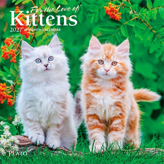 Plato; For the Love of Kittens | 2027 7 x 14 Inch (Hanging) Monthly Mini Wall Calendar; Category:Wall Calendars; Image:1